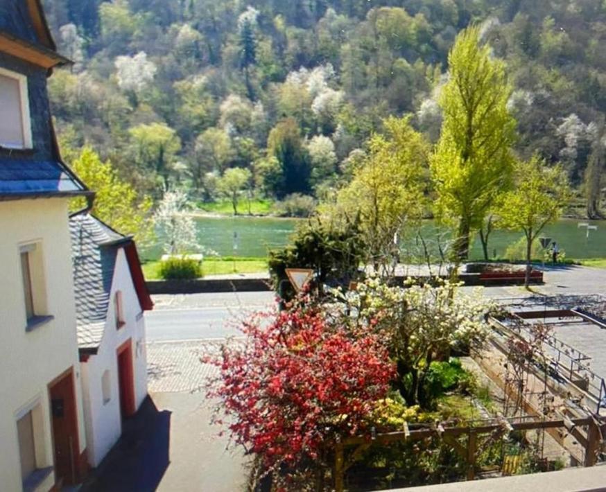 Ferienhaus Moselblick Am Kapellchen Ediger-Eller Esterno foto